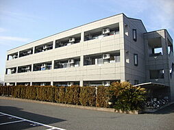 メルヴェール　シンシア 105