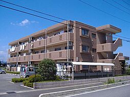 ユーミーサンライズ 303