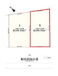 江戸川区南篠崎町1丁目　売地