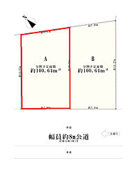 江戸川区南篠崎町1丁目　売地