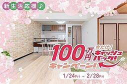 今だけ100万円キャッシュバックセンチュリー武蔵藤沢