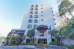 ハイラーク入間