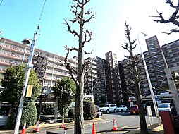 ライオンズマンション調布C棟 109