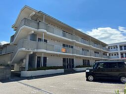 アイビーハイツ 206