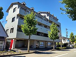 プルミィエ・シンワ 204