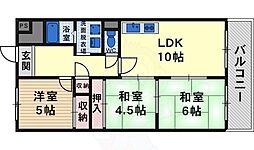 キャピタル・キダ