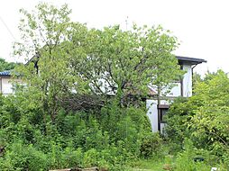 南横川