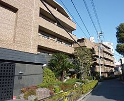 ドミールときわ台 523