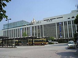 土地　平塚市東八幡