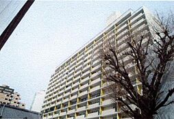 渋谷区神宮前６丁目