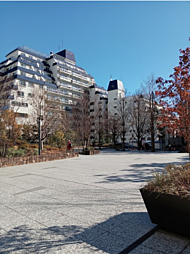 渋谷区南平台町