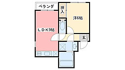 Raiz星井