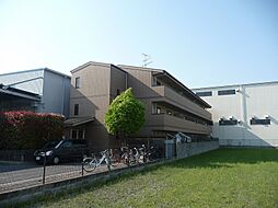 サンフローラ