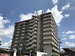 ハイムカランツ 103