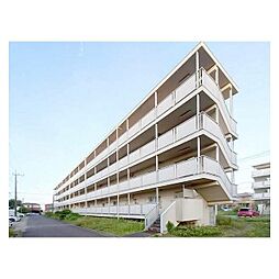 ビレッジハウス善部4号棟 0103