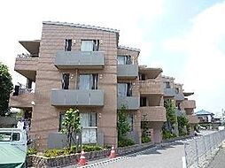 ドルフ南本宿II 206