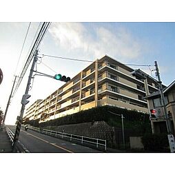 エル・パティオ 346