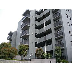 パルティール本村 401