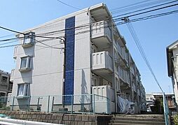 ブルーカーサ250−I 0306