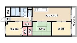 エバーグリーン21