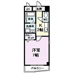 プラシードカーサ