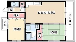 エスペランサ厳樹