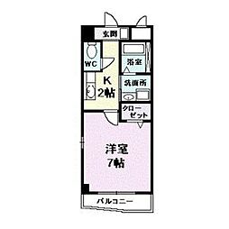 プラシードカーサ