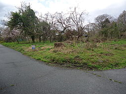高島市マキノ町沢の土地