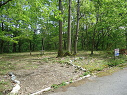 高島市マキノ町新保の土地