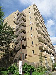 メインステージTOKYO・NORTH HY’s 0708