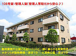 パインウッド 303