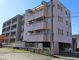 エグゼクティブ22 203