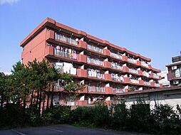 グランメゾンつくば 302