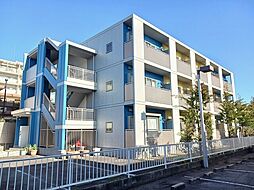 リニアコート 203