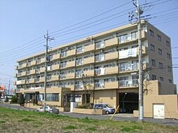 サンマリーナつくば 212