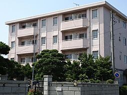 ヴィラエスポワール古来 307