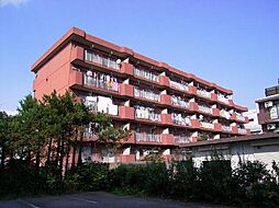 グランメゾンつくば 202