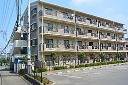 パーマナント洞峰 203
