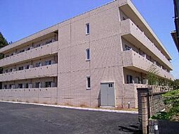 マンションプラチードグランデ 103