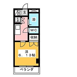 コート・スプルース