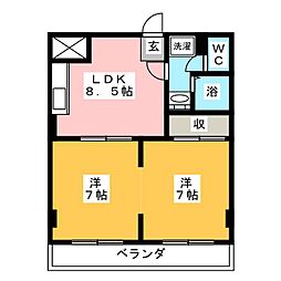 コート・スプルース