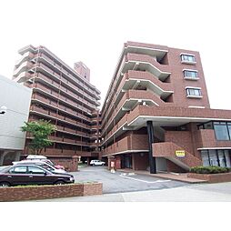 信開ドムス三社 806