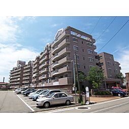 信開ダイナスティ浅野川 2205