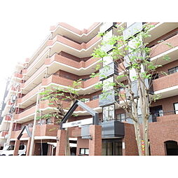 信開ドムス間明 402