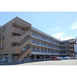 プラザ信開北安江 420