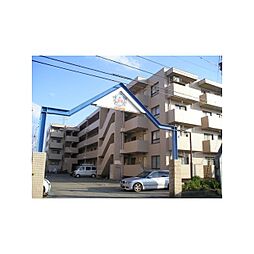信開ウェラコートオレンジS棟 305