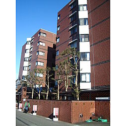 信開ドムス敦賀 2501