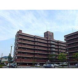 信開アーバンシティキングス 2406