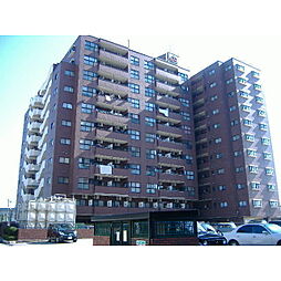 信開ドムス黒瀬 2306