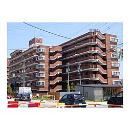 信開ドムス城川原 707